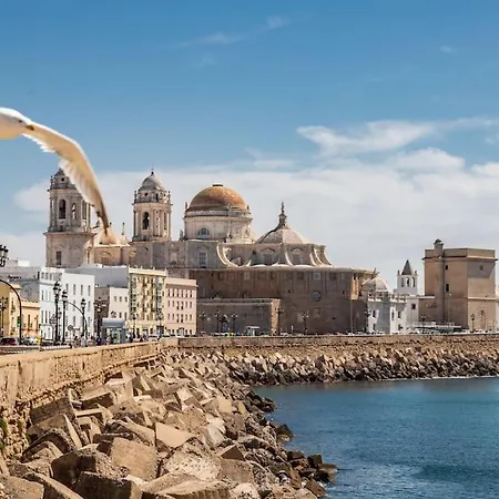 Claveles By Time Cadiz