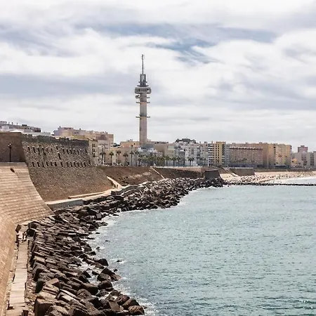 Claveles By Time Cadiz